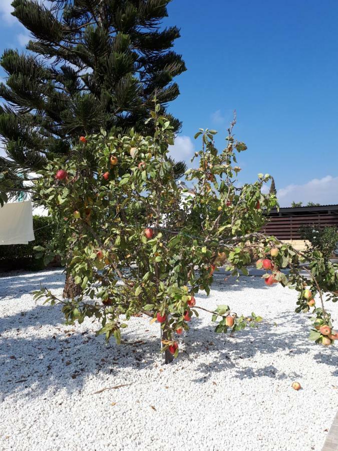 Villa Bouboulina Cyprus Ayia Napa Bagian luar foto